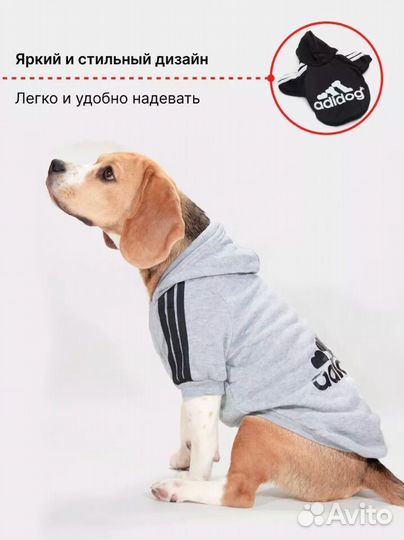 Костюм худи для собак и кошек, одежда для животных