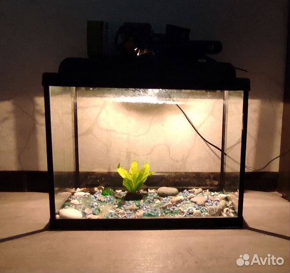 Аквариум