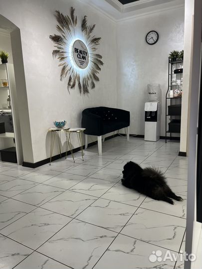 Рабочее место мастера наращивания ресниц