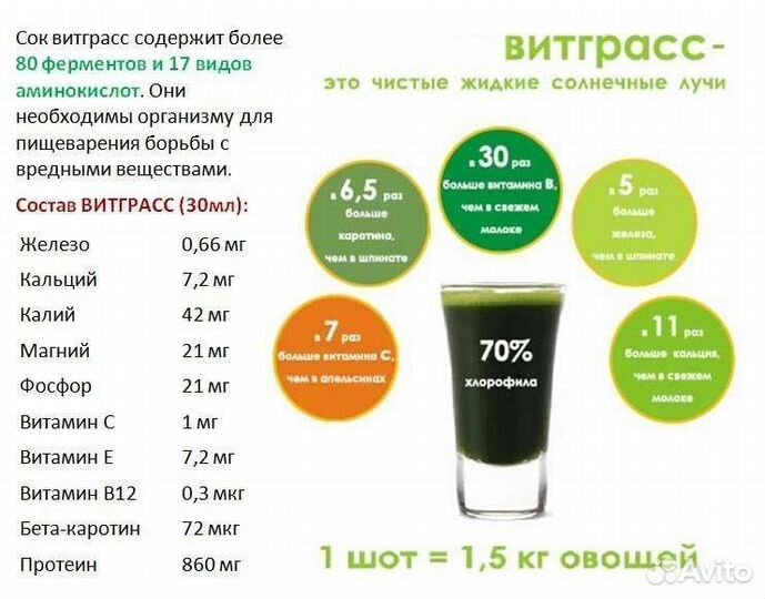 Витграсс премиум класс — Живой продукт
