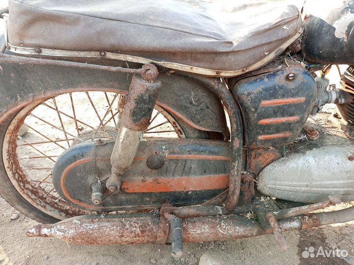 Паннония на органы