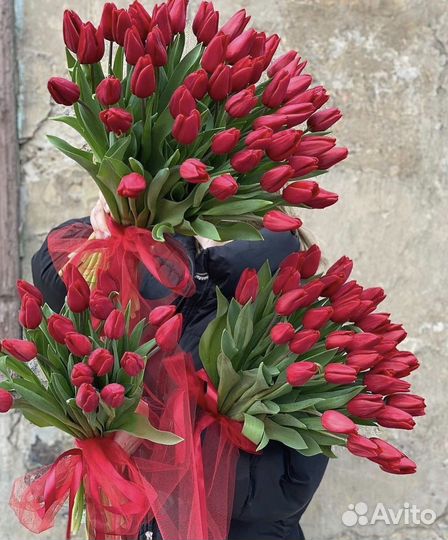 Букет тюльпанов Академ