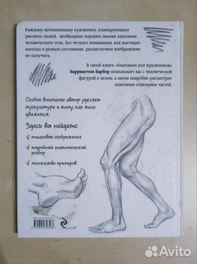 Анатомия для художников