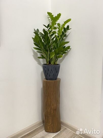 Пень интерьерный