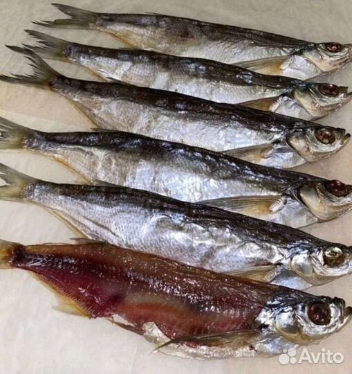 Астраханская вяленая вобла