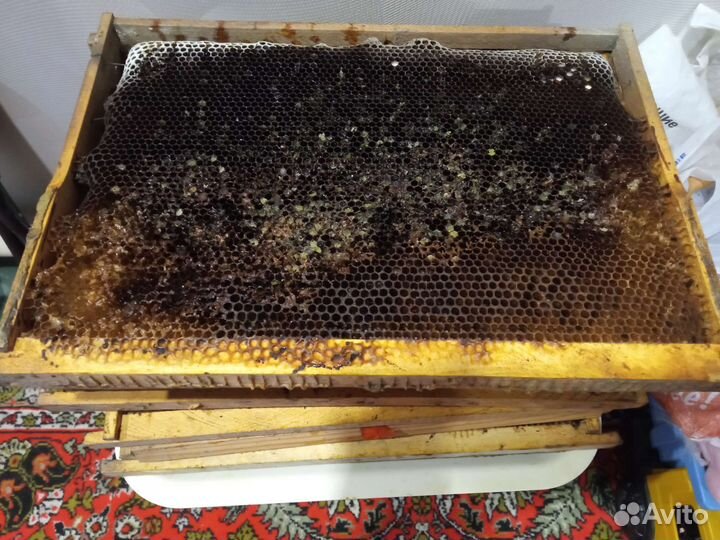 Рамки с вощиной