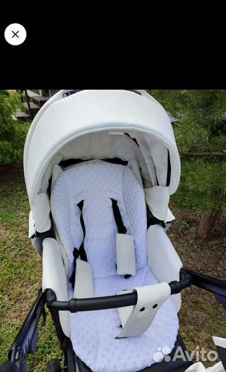 Коляска 2 в 1 adamex