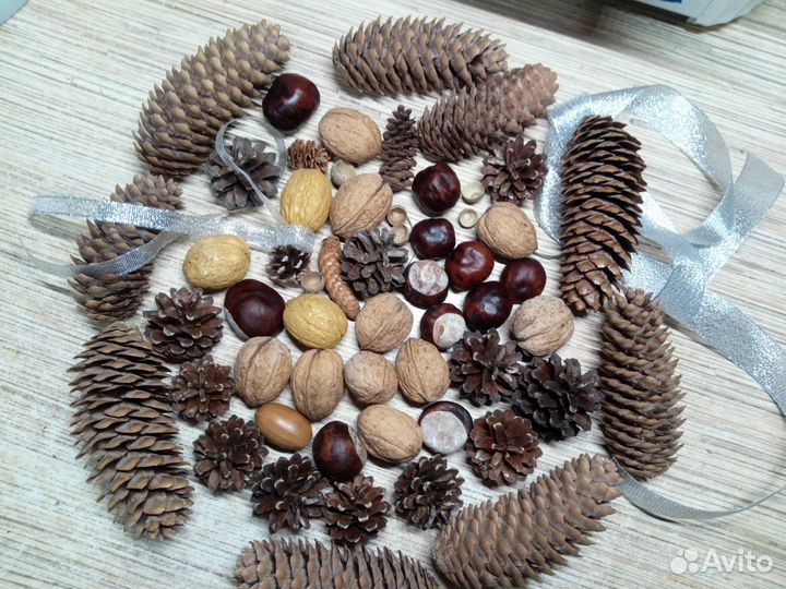Набор Шишек еловые и орехи,поделок в садик