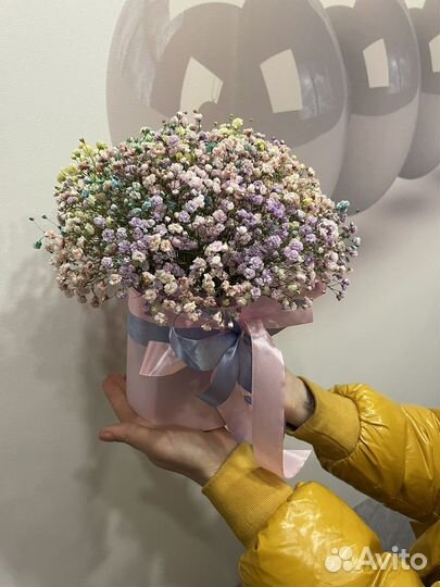 Гипсофила Букеты Живые цветы Подарок