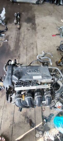 Двигатель G4FC 1.6 123 л.с kia rio solaris