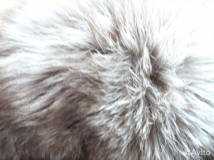 Шапка песцовая