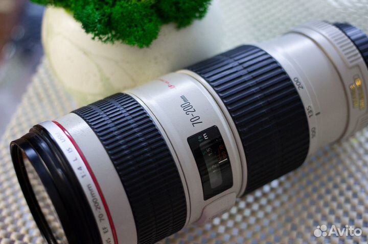 Объектив Canon EF 70-200mm F4.0 L IS USM со стабом