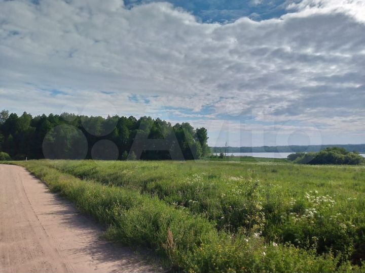 Участок 100 сот. (СНТ, ДНП)