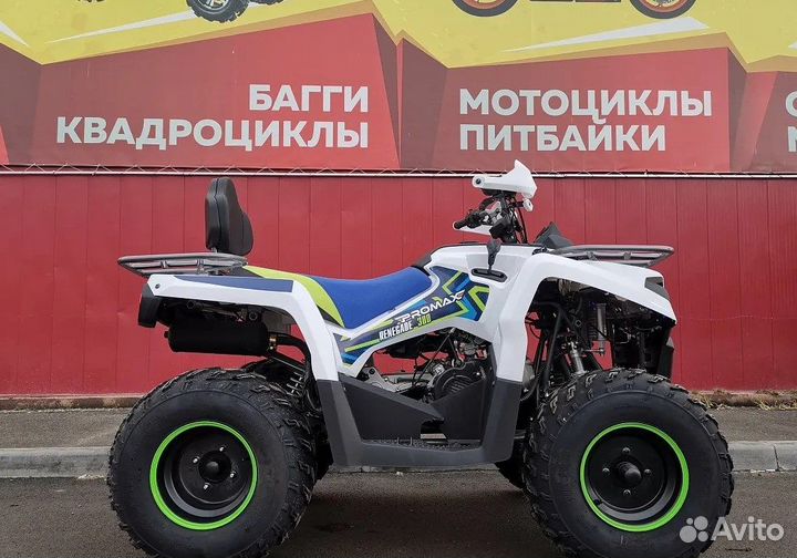 Квадроцикл promax renegade 300 LUX