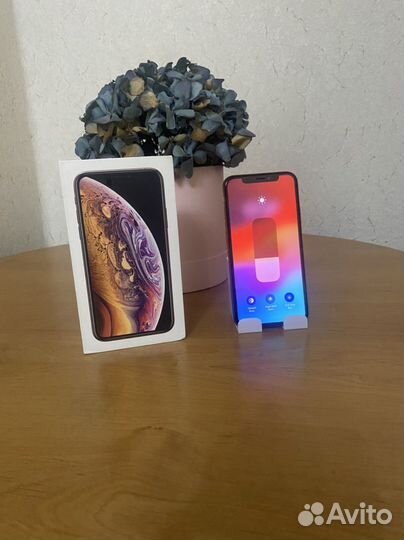 iPhone Xs, 256 ГБ