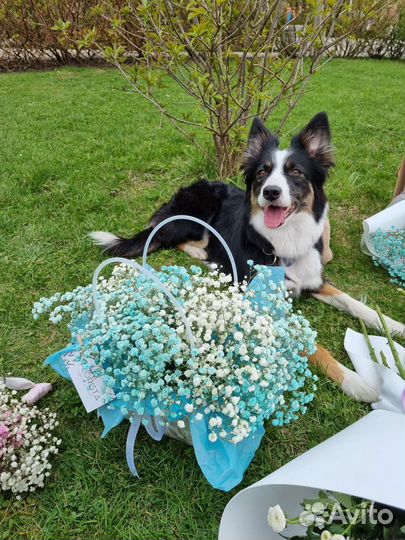 Сумочка из Гипсофилы