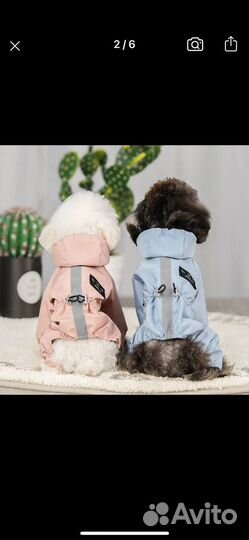 Дождевик-пыльник для маленьких собак