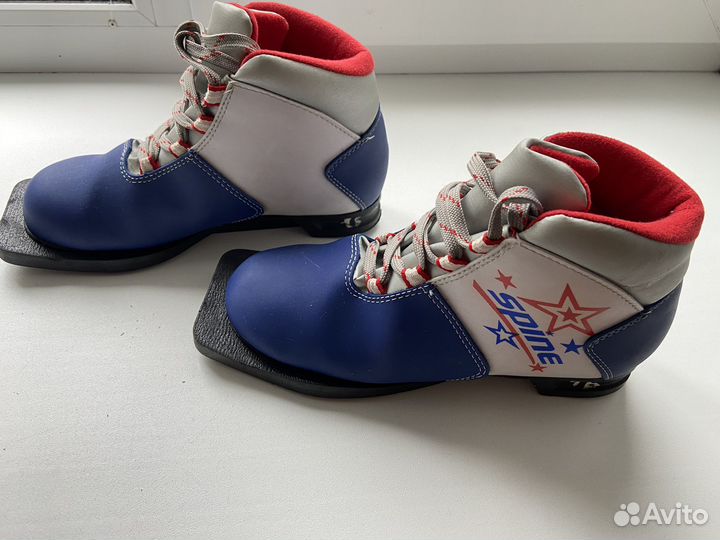 Лыжные ботинки spine