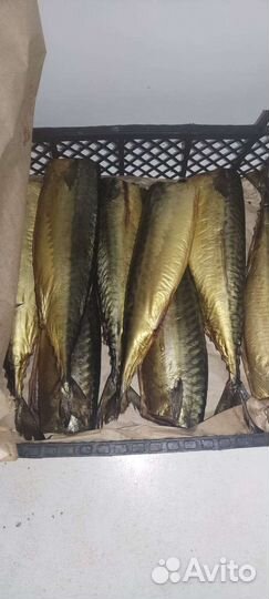 Скумбрия холодного копчения, разделланная