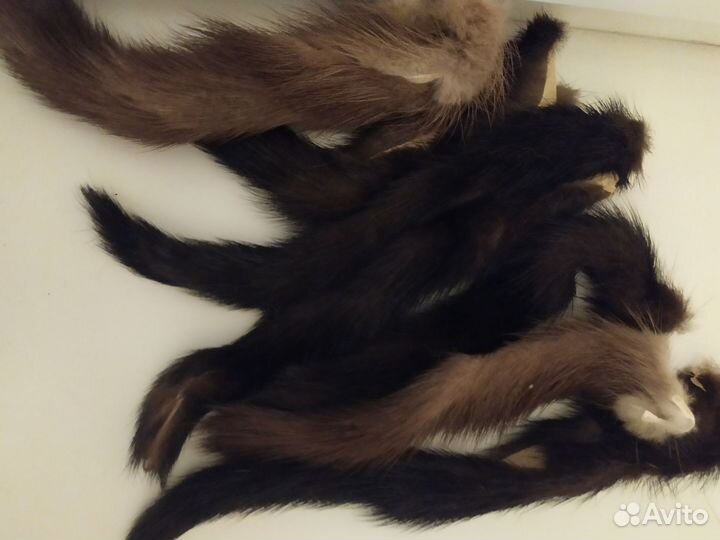 Хвосты норки