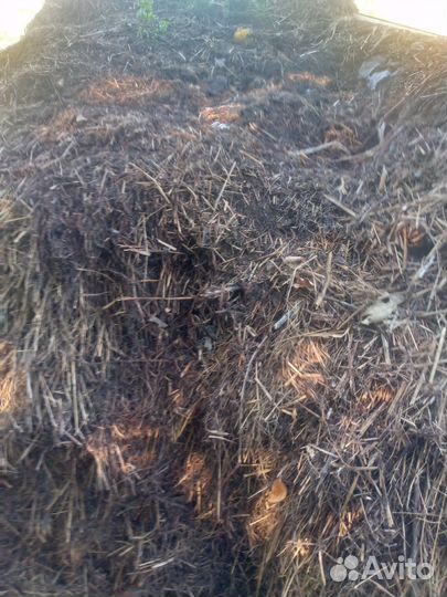 Навоз перегной