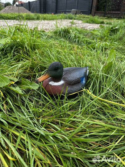 Чучело утки