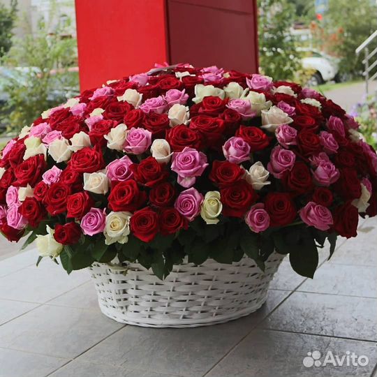 Розы цветы с доставкой