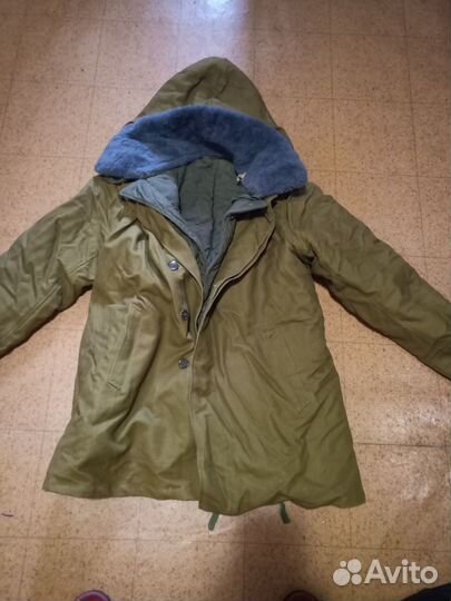 Мабута зимняя