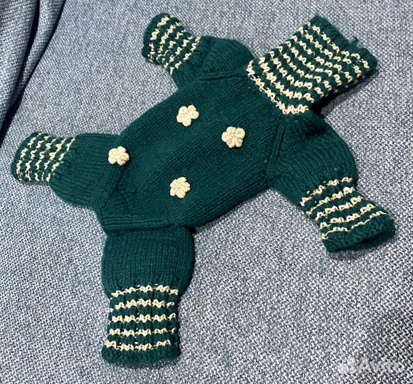 Костюм для маленькой собачки