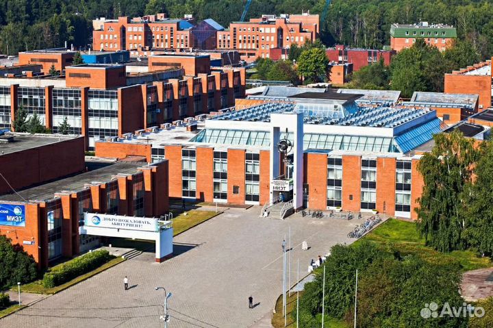 Репетитор по программированию и математике