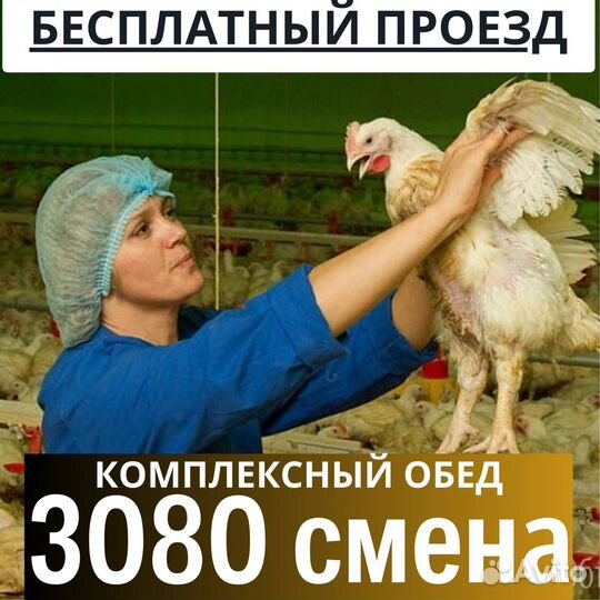 Вахта Пенза бесплатный проезд рабочий вакцинатор