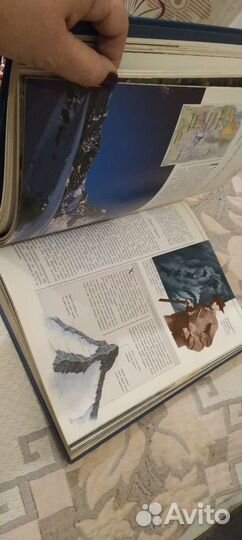 Детская энциклопедия