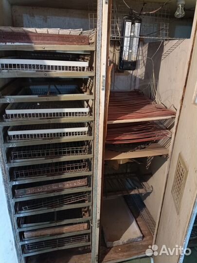 Инкубатор для яиц автоматический бу