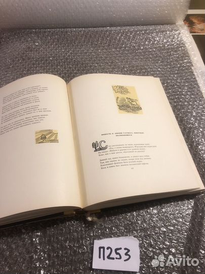 Шота Руставели / Витязь в тигровой шкуре