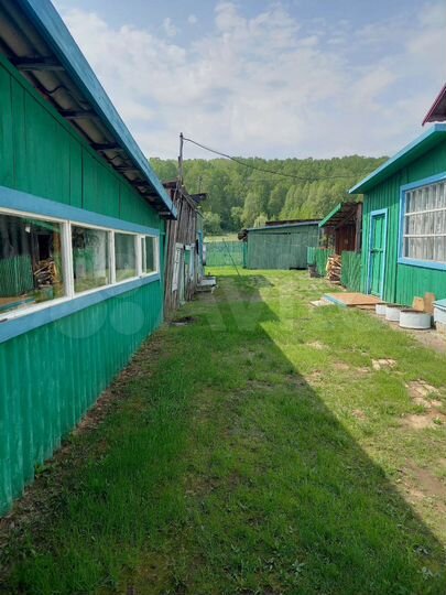 Дом 56,5 м² на участке 20 сот.