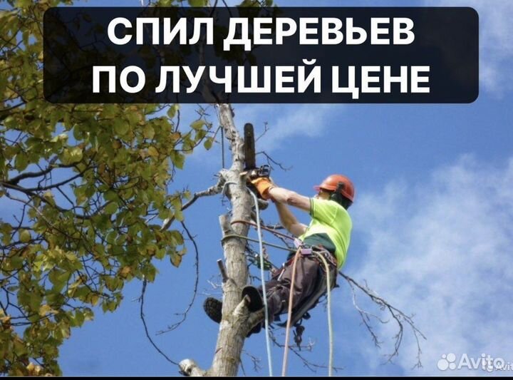 Спил деревьев расчистка участка дробилка выкорч