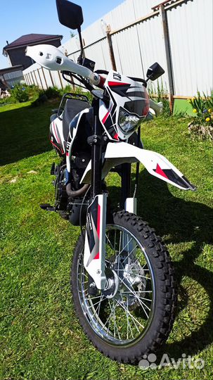 Raser panthera 250