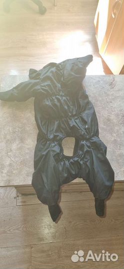 Комбинезон для средней собаки