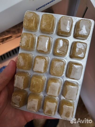 Мотыль замороженный