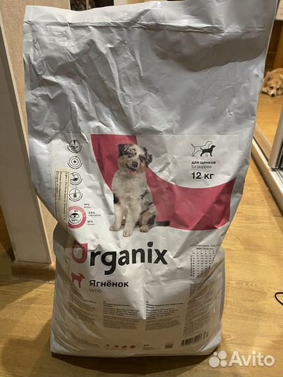 Корм для собак