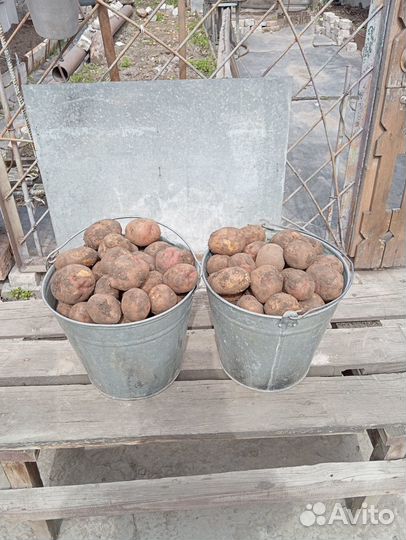 Продукты питания