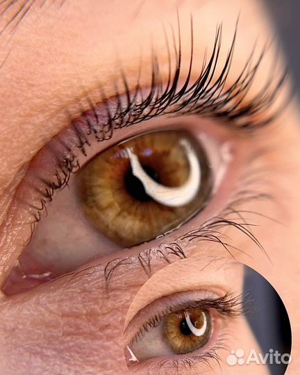 Онлайн курс по ламинированию ресниц