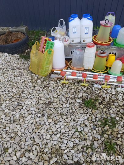 Кормушки, поилки для птицы