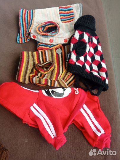 Наряды для питомца