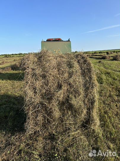 Сено в рулонах по 300 кг