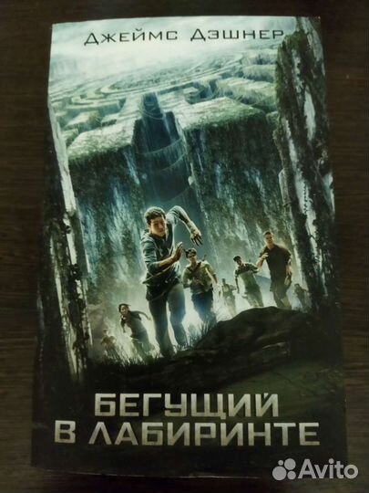 Бегущий в лабиринте