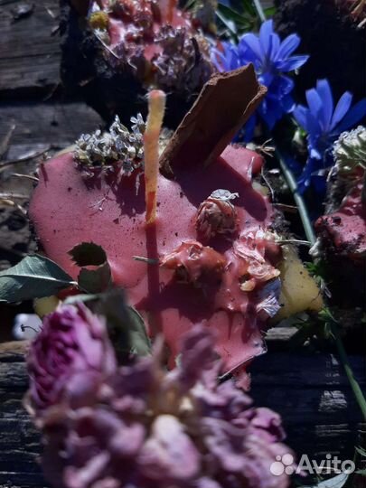 Земляные свечи