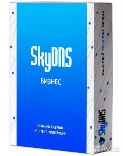 Skydns Бизнес. 10 лицензий на 1 год SKY Bsn 10