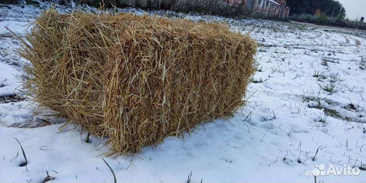Солома в тюках