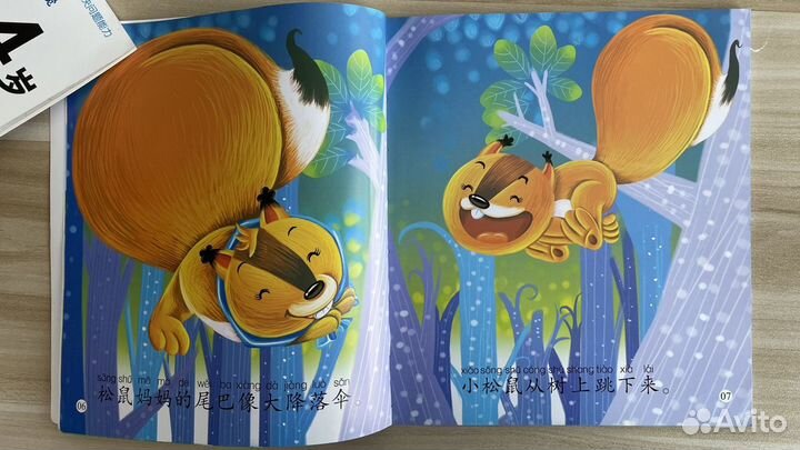 Книга на китайском языке